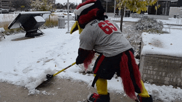 Snow Day GIF by Rowdy the Roadrunner