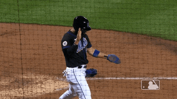 Ny Mets Clap GIF by New York Mets