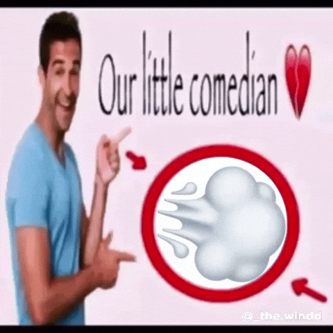 The Wind Cornball GIF