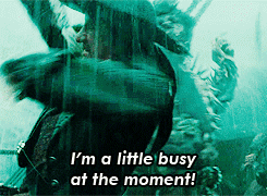 busy pirates of the caribbean GIF