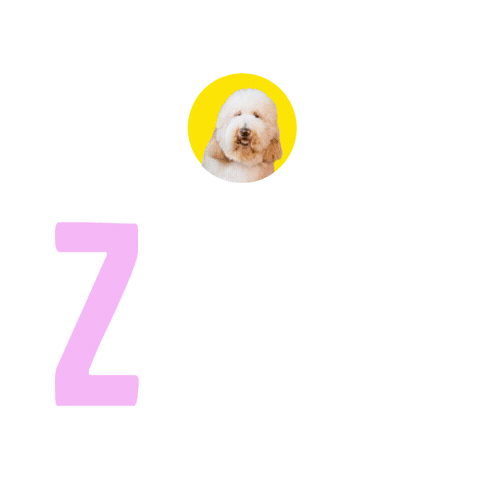 Dogs Sticker by Z Giant Poodles