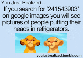 Disney gif. Simba and Nala look at each other both with open mouths and raising one eyebrow in confusion. Text, “You just realized…If you search for ‘241543903’ on google images you will see pictures of people putting their heads in refrigerators.”