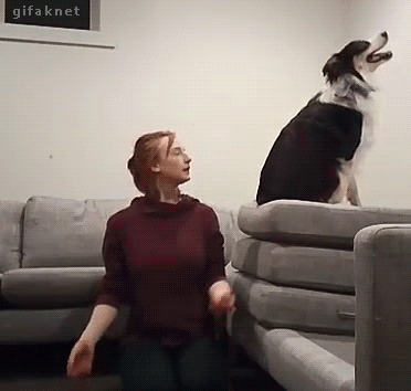 fall trust GIF