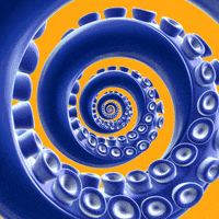 Octopus Mesmerizing GIF by Feliks Tomasz Konczakowski