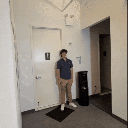 Cat Wtf GIF by Airlearn