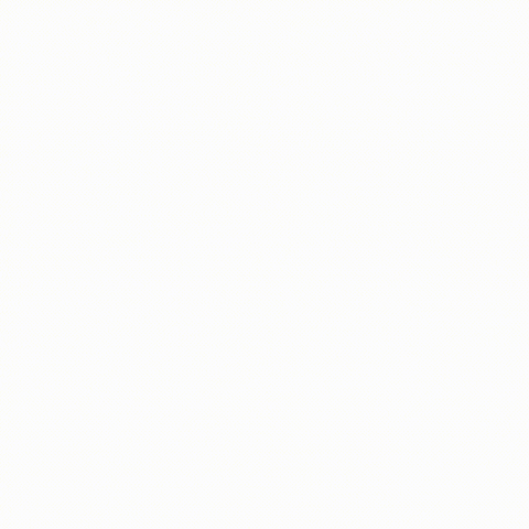 VroomBastic GIF