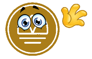 Hotel Esplanade Resort & Spa Sticker