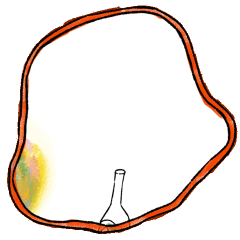 Soda Lorenzo Sticker by Cascara Cabinet