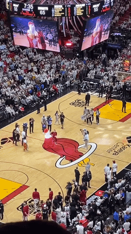 Miami Heat Fight GIF by Storyful