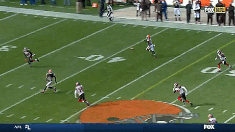 tampa bay buccaneers