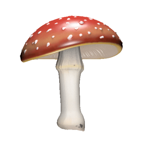 3D Mushroom Sticker