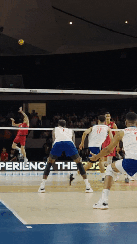 Power What GIF by Volleyball World