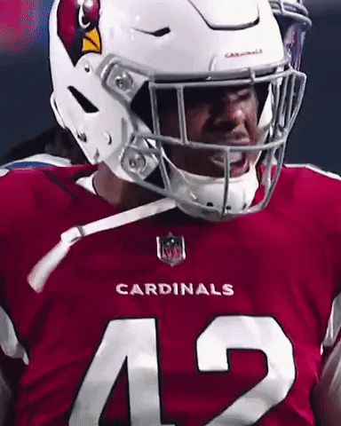 Angry Lets Go GIF by Arizona Cardinals