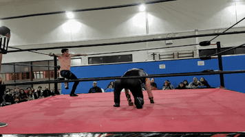 Animated GIF