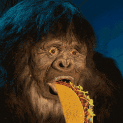 Hungry Taco GIF