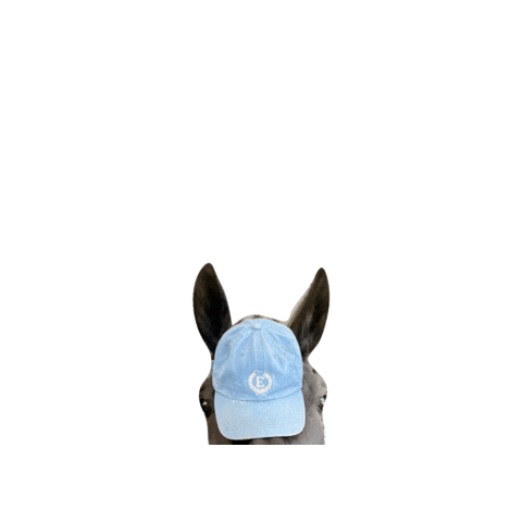 Elcee Equestrian Sticker