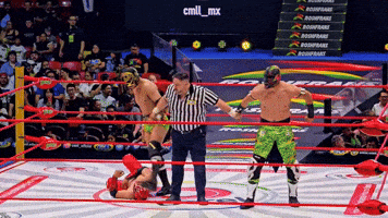 Lucha Libre Win GIF