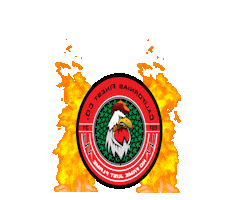 Cafco31 Sticker