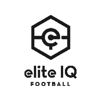 Elite IQ Football Sticker