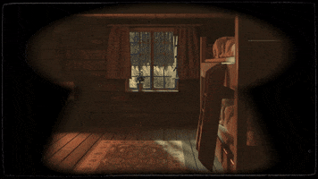 Carnaval de Québec GIF