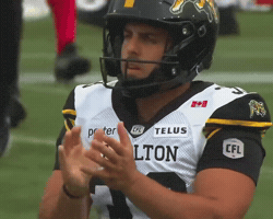 Cats Celebrate GIF