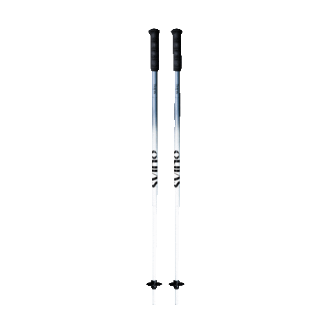 Sving Skipoles Sticker