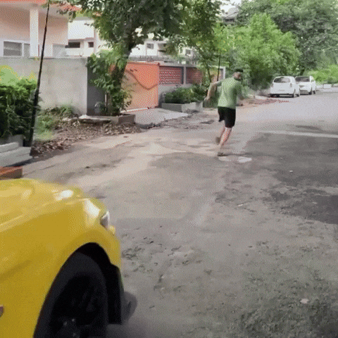 Mustang GIF