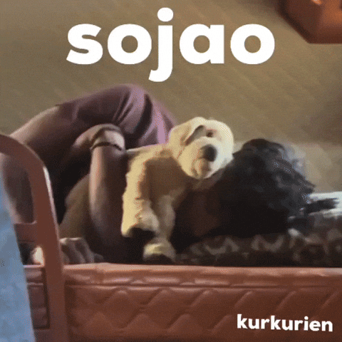 Outstation GIF