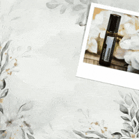 Essential Oils Beauty GIF by Jennifer Accomando