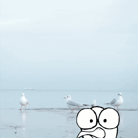 Strand Ostsee GIF by Mundstueck