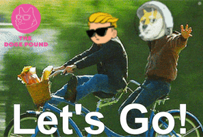 Dogecoin Wall Street Bets GIF by The Doge Pound 
