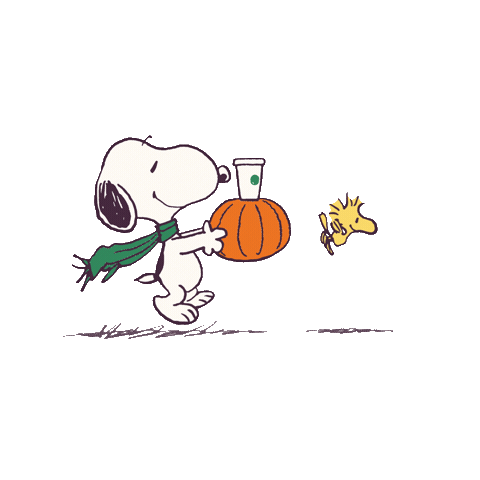 The Great Pumpkin Fall Sticker by Starbucks