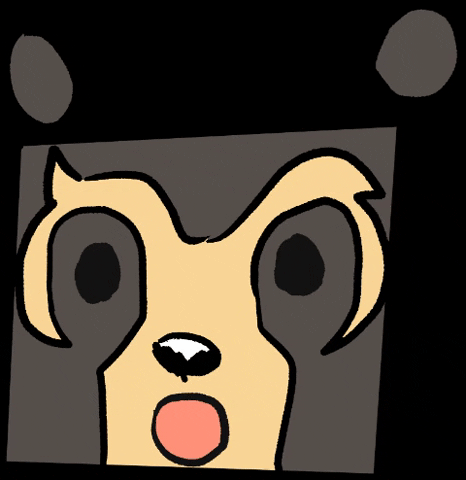 Oso Juku GIF