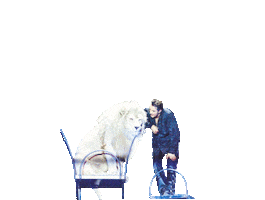 Circus Krone Sticker