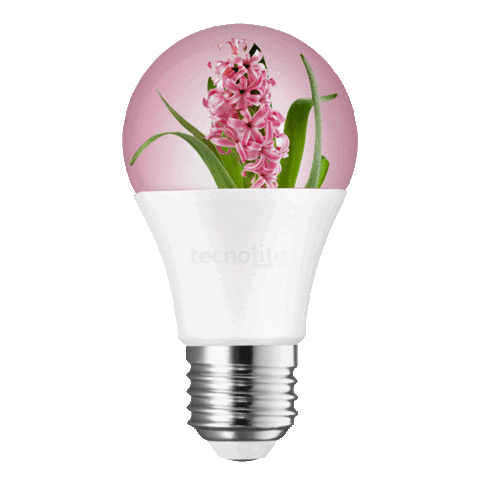 Beauty Instagram Sticker by Tecnolite Connect