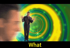 Excuse Me What GIF