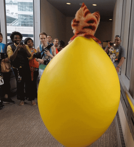 Animated GIF