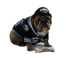 Utah Mammoth Sticker