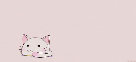 cat GIF
