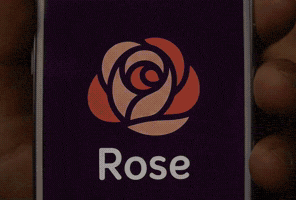 Rose GIF by petahouseart