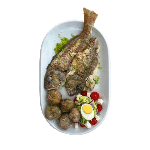 Sea Food Fish Sticker by Flow Beach Club