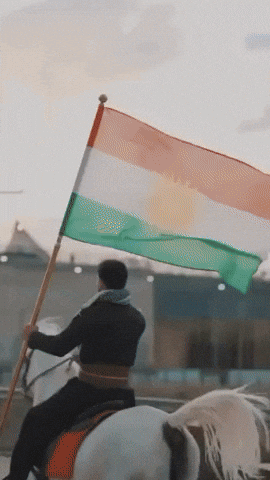Horse Flag GIF