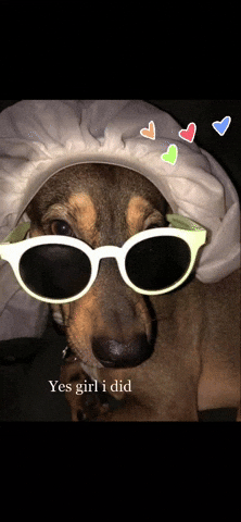 Biscuit GIF