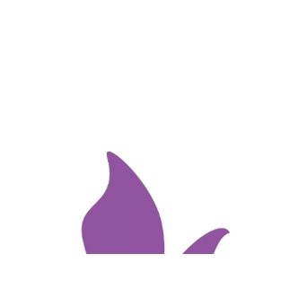 Fundación Síndrome de Dravet Sticker