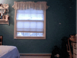 200.gif
