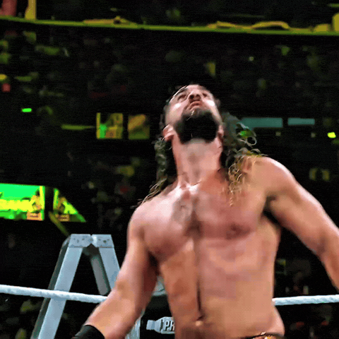 Seth Rollins Wwe GIF