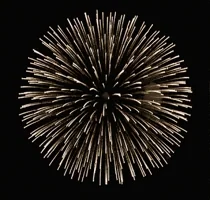 fireworks diwali GIF