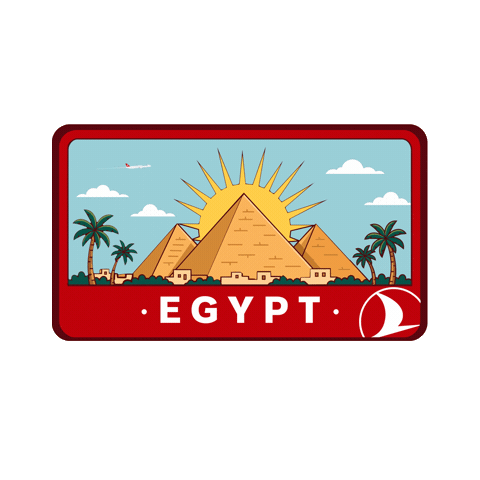 Cairomarathon Sticker by Turkish Airlines