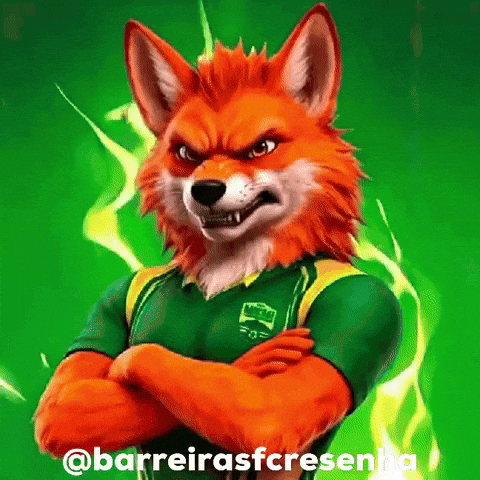 Barreirasfcresenha GIF