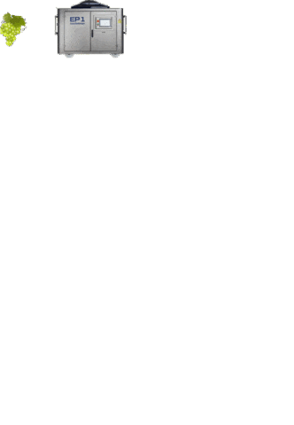 Wine Grape Sticker by Scharfenberger GmbH & Co.KG